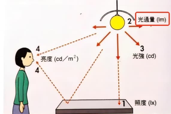光通量